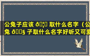 公兔子应该 🦅 取什么名字（公兔 🐧 子取什么名字好听又可爱女生）